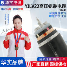 國標YJLV22鋁芯絕緣鋼帶鎧裝高壓電纜工地項目工程使用電力電線
