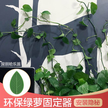 綠蘿爬牆固定器無痕家用攀爬藤蔓植物牆上固定扣夾子貼牆自粘式
