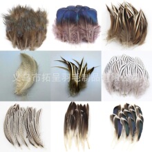 廠家批發diy飾品配件羽毛DIY羽毛頭飾胸花帽子鞋子工藝品裝飾材料