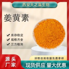 姜黃素95% 458-37-7 Curcumin 姜黃提取物10:1 20:1 姜黃粉 1kg裝