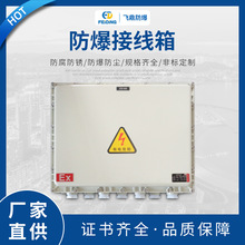 防爆接線箱防爆電櫃按鈕盒端子箱 控制儀表箱 防爆配電箱接線箱