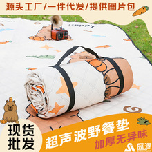 超聲波加厚戶外野餐墊防潮地墊手提雙面防水墊露營便攜超大折疊墊