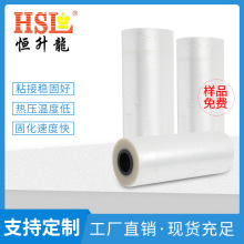 PA雙面粘性熱熔膠網膜無紡粘合襯熱熔膠膜透氣粘接牢度高服裝膠膜