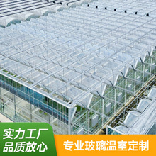 玻璃溫室大棚暖棚西瓜蔬菜養殖農業觀光可配遮陽網  智能骨架大棚
