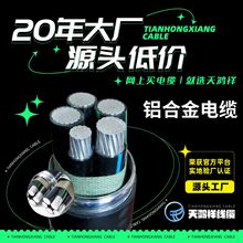 鋁合金國標5*10高壓電線電纜YJLHV電力工業工程廠家批發電力電纜