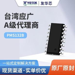 VƬC MCU  PMS132B