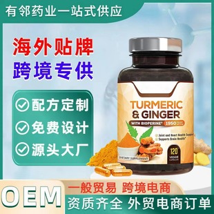 羳SzTURMERIC120bʳa䄩Ƭ̖OEM