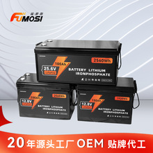 藍牙100ah200ah300ah儲能磷酸鐵鋰蓄電池12V24V鉛改鋰LiFePo4電池