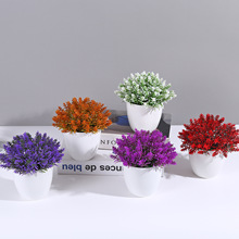 仿真尤加利植物盆栽小盆栽假花小樹植花辦公室桌面擺件迷你盆栽