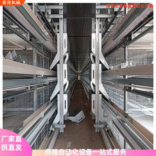 廠家層疊式全自動化撿蛋清糞/養雞設備 小層疊蛋雞籠養殖設備