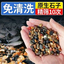 純天然溪流沙石原生魚缸鋪底石鵝卵石小石頭造景裝飾底砂龜缸雷龍