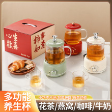 養生壺多功能花茶壺全玻璃養生杯家用燒水壺燉煮一體茶電燉杯禮品