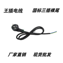 廠家供應國標三插電源線