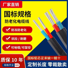 國標2芯鋁芯家用戶外電纜線電線4 6 10 16 25平方雙芯鋁線護套線
