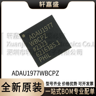 ADAU1977WBCPZ bLFCSP-40 ADC/DAC/DQ ICоƬȫ