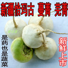 新鮮新疆恰瑪古蔓菁蕪菁蔬菜鹼性食品包郵新鮮農家自產新疆特產
