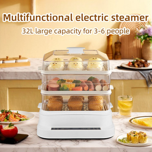 Electric Food Steamer ö๦ӴAsr