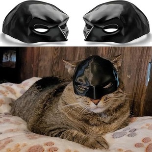 羳¿Bat Cat Avenger Mask؈ͳ؈ߌ