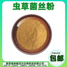 CS-4蝙蝠蛾擬青霉菌 蟲草菌絲粉發酵蟲草菌粉現貨供應 量大優惠