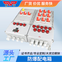 防爆配電箱檢修接線箱動力儀表正壓櫃按鈕控制開關端子盒插座箱廠