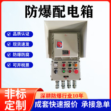 工業防爆配電箱 端子按鈕電源接線箱動力照明檢修箱開關控制箱