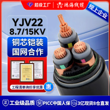 國標銅芯高壓鎧裝/非鎧裝YJV22 8.7/15KV1芯3芯埋地電力電纜線