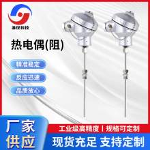 WR/Z防爆鎧裝高溫高壓防腐耐磨熱電偶(阻）一體化數顯溫度變送器