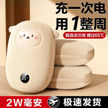 2024新款暖寶寶充電寶二合一法蘭毛絨可愛女生手握便攜式暖手