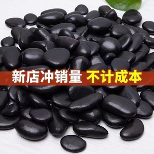 小石子卵石天然黑色鵝卵石庭院拋雨花石園林裝飾小石頭黑石