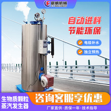 電加熱蒸汽發生器生物質天然氣節能型鍋爐蒸汽機混凝土橋梁養護器