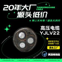 廠家直供隧道專用鋁芯電線 高壓電力電纜YJLV22 3*50鋁絲充足現貨
