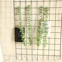 仿真綠植金錢葉尤加利24層INS風仿真花家具裝飾  婚慶花牆植物牆