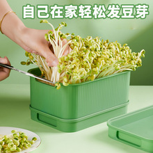 家用發芽專用種植盆黃豆芽綠豆芽豆芽機換水為育苗盤盆帶托盤