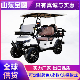 高爾夫球車游覽車4座電動巡邏車看房接待車機場校園景區觀光車
