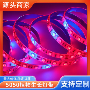 ͉505012V60LEDֲLܛֲol3/4/5t1{ˮ