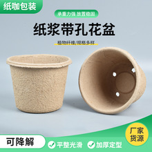 紙漿帶孔花盆種苗培育盆 家庭園藝一次性可降解紙漿多肉種植花盆