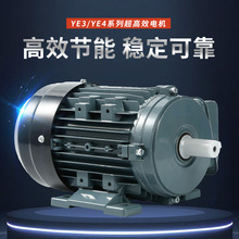 福建廠家直供YE3/YE4系列超高效電機異步電動機批發