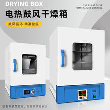 電熱恆溫鼓風干燥箱烘箱工業大燈烤箱五谷烘干箱實驗室老化箱QS