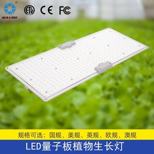 ӰֲLled grow light҃ȫVʷa