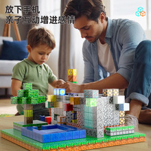 積木世界周邊模型磁性積木拼搭玩具兒童益智建築百變拼裝幼兒益智
