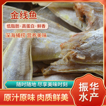 直供海鮮干貨金線魚 干制水產品金線魚批發供應
