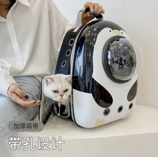 Ʒ羳Cat bag ؈yͨ͸؈p