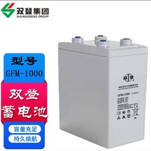 雙登蓄電池2V1000Ah GFM-1000通信基站船用儲能質保三年廠家直發