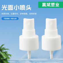 廠家供應光面塑料小噴霧頭PP按壓式香水噴頭噴霧泵細霧噴頭