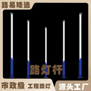路易恆升路燈桿廣場道路庭院太陽能景觀燈路燈6米8米戶外燈10M12M