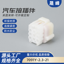 DJ7091Y-2.3-11/21 防水2.3電動車用連接器9孔汽車線束頭接插件