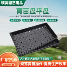 廠家供應加厚長方形育苗盤 塑料底座底盤 簡約加深接水塑料托盤