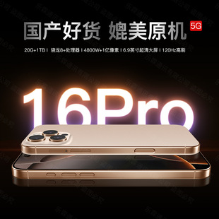 16PromaxȫC5G֙C120HzˢȫPhoneΑ6.9Ӣ