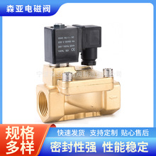 PU225-08電磁閥廠家批發PU225系列高壓電磁閥 蒸汽防爆微型電磁閥