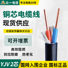 ZCYJV0.6/1KV電線2*1.5/2.5/4/6/10/16/25/35/50/70平方 銅芯電纜